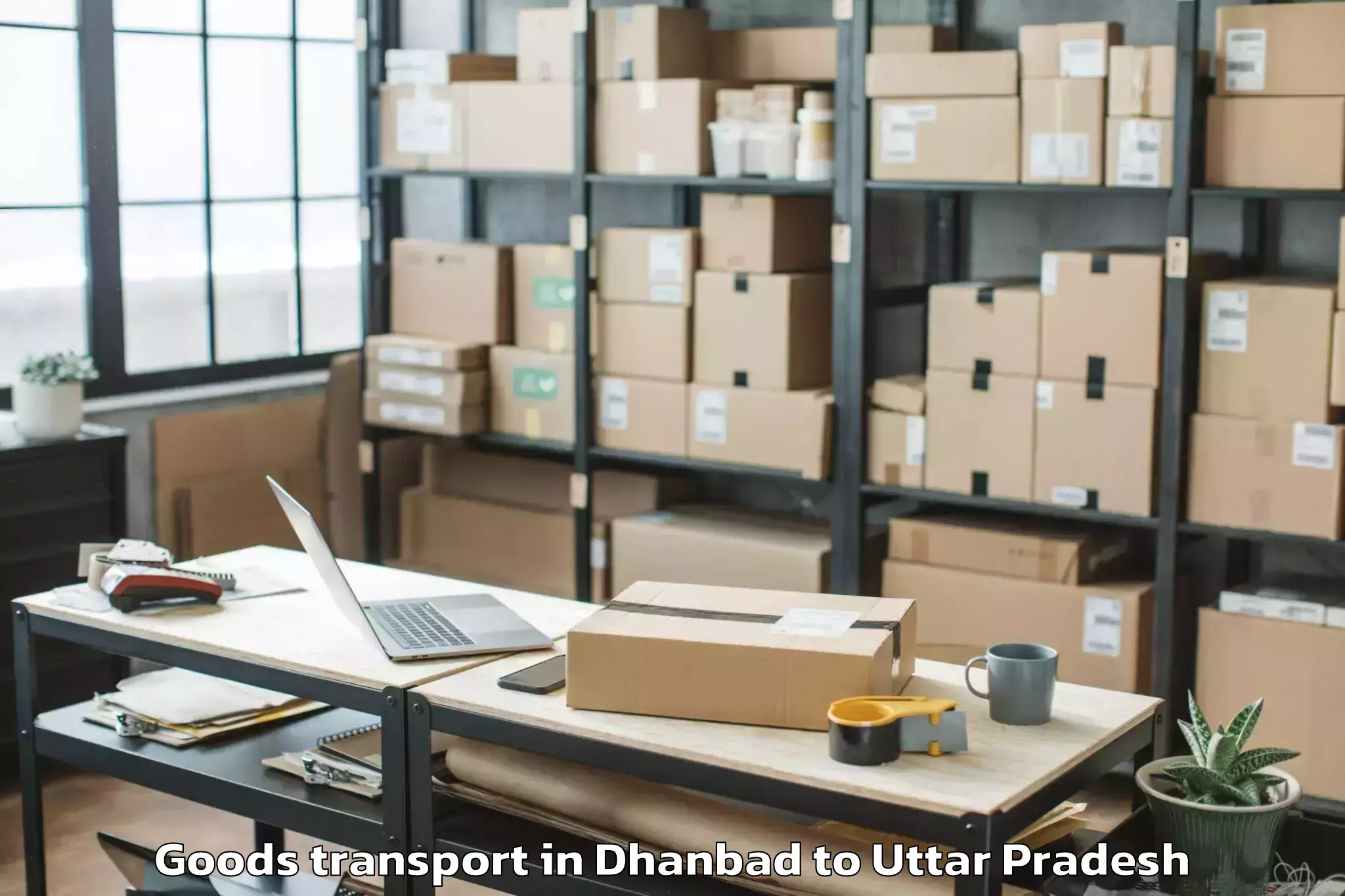 Top Dhanbad to Fatehganj West Goods Transport Available